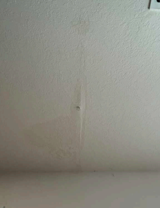 St Petersburg Fl