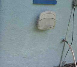 Carrollwood Fl