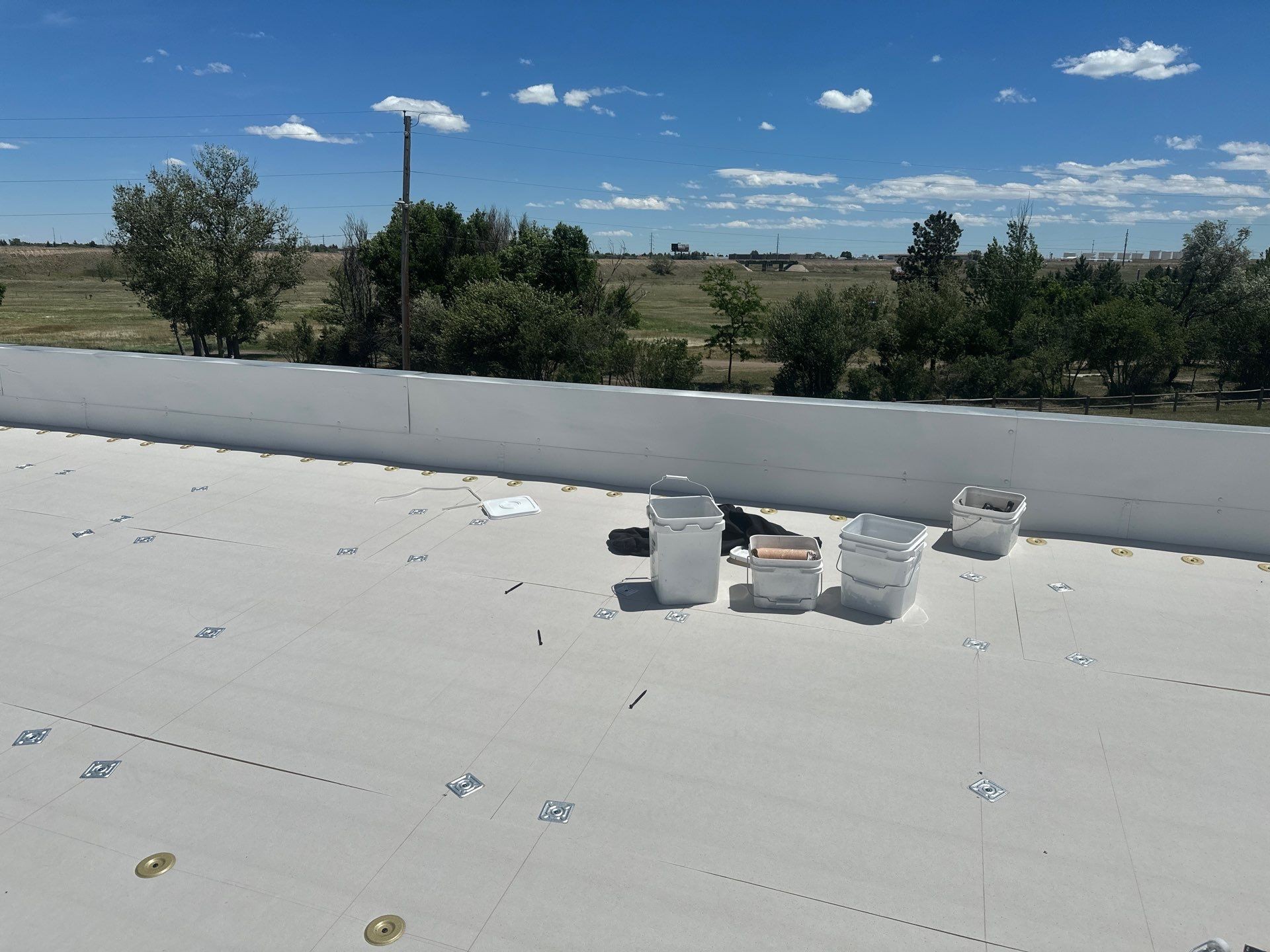 Longmont Co