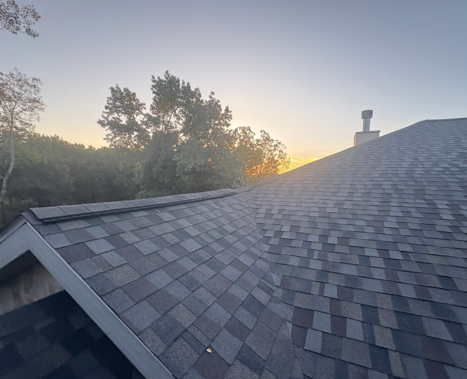 How to Spot a Roof Leak Early