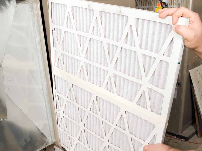 What Are the Best Air Filters for Allergies?