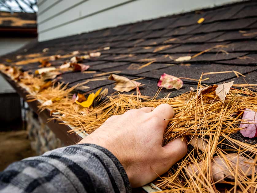 4 Types of Debris That Can Be Damaging to Your Roof