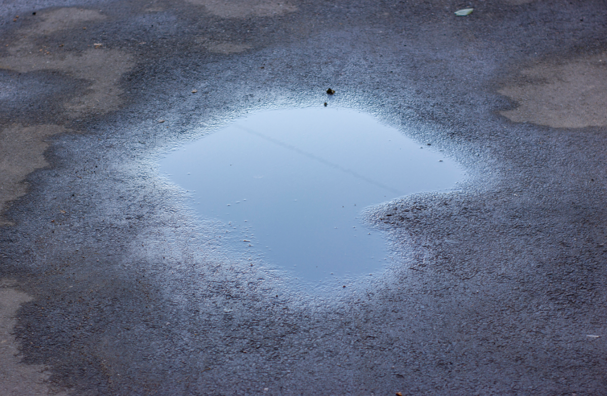 What Are Birdbaths in Asphalt Pavement?