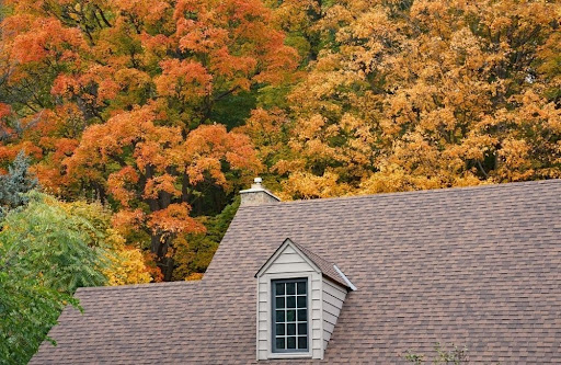 Fall Roof Replacement
