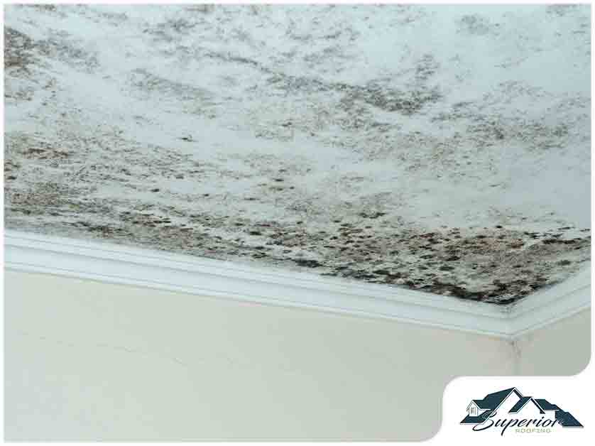 Humidity Affect Your Roofing System