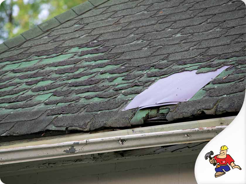 Roof Repaired or Replaced Before Selling Your Home