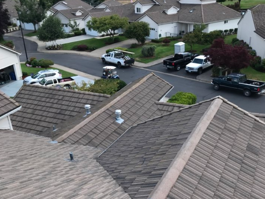 6 Types of Debris That Can Damage Your Roof