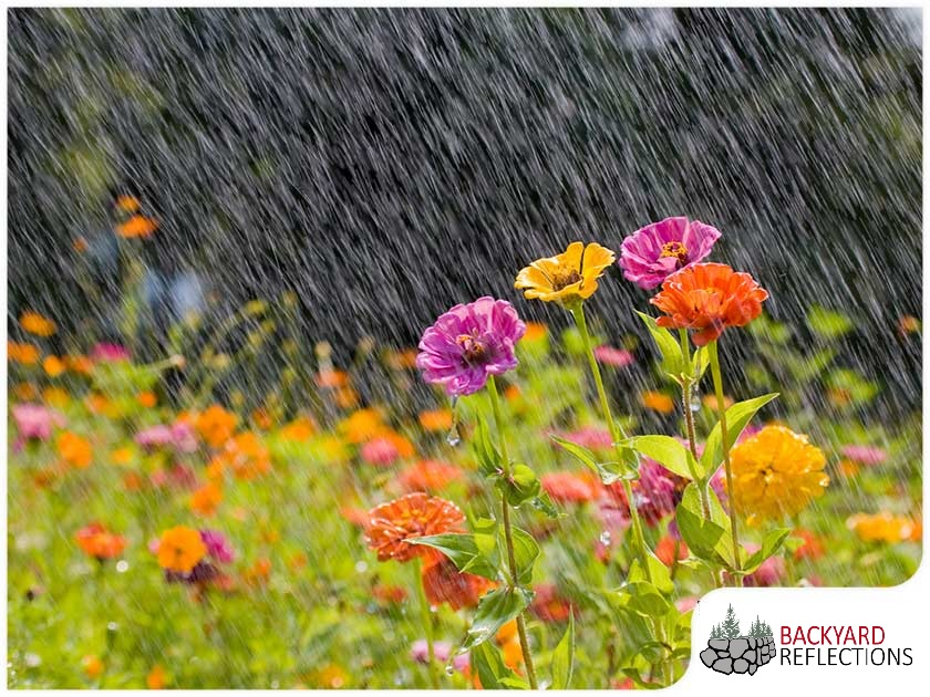 1b4ba436969abebc786c1e454b835bbe5fe27ba3-1765281107786 1b4ba436969abebc786c1e454b835bbe5fe27ba3 1765281107786