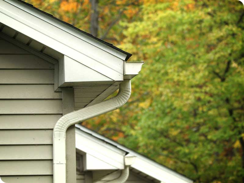 Inspect Your Gutters Like a Pro