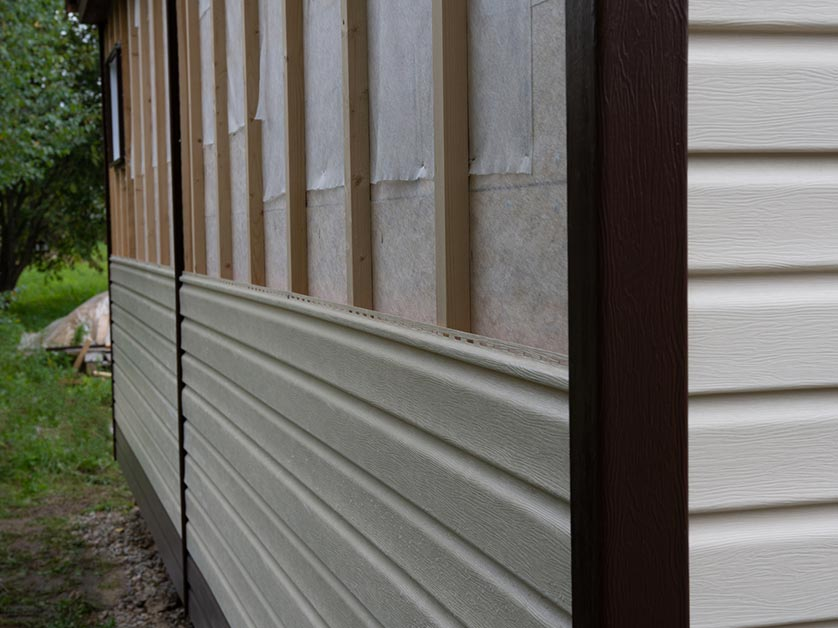 Reasons Woodpeckers Damage Siding (And What You Can Do About It)
