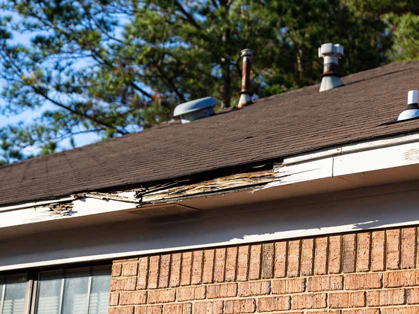 When to Schedule a Roof Inspection