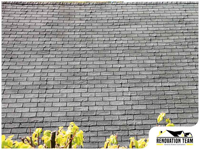 Asphalt Shingles: Maintenance Mistakes to Avoid