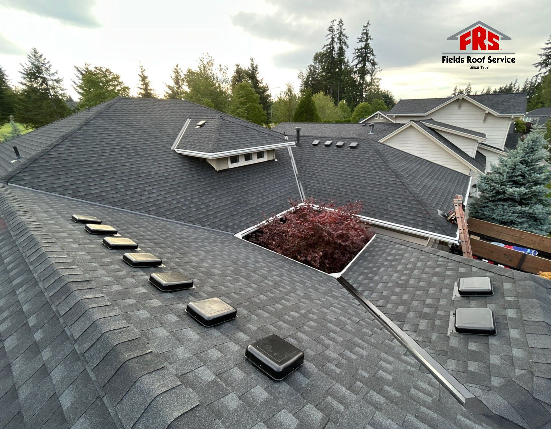Asphalt Shingles