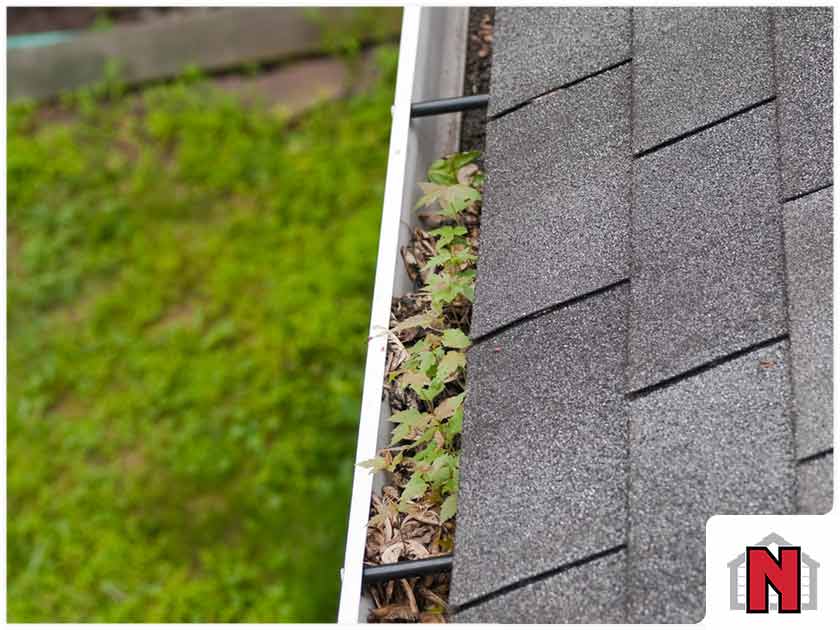 Spring Residential Roofing Maintenance Tips