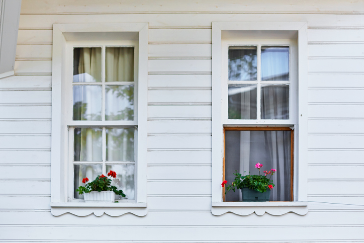 Window Styles