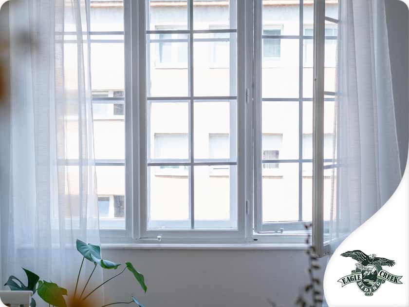 Casement Windows 