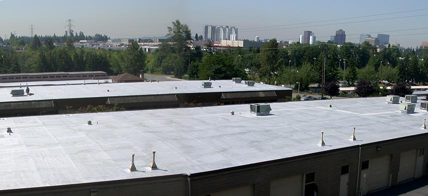 Roof Coating Systems