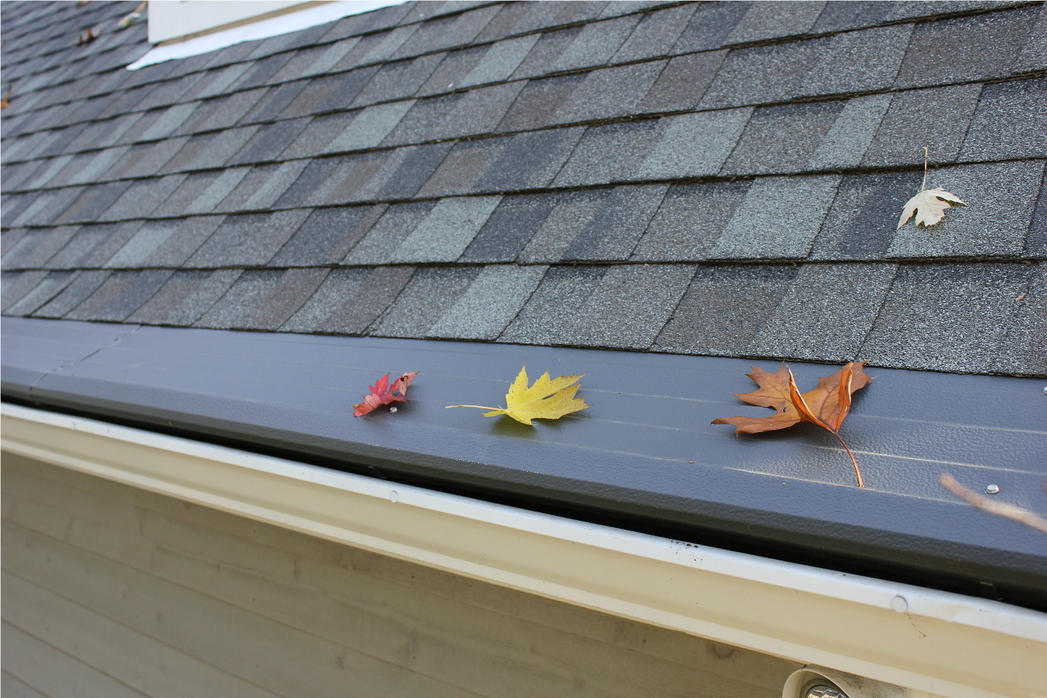 Tips to Prepare Your Roof and Gutters for Fall