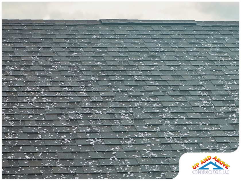 Keeping Your Roof Healthy