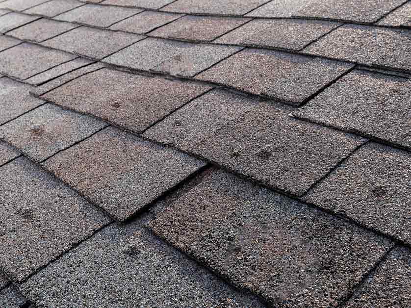 Asphalt Shingles Blister