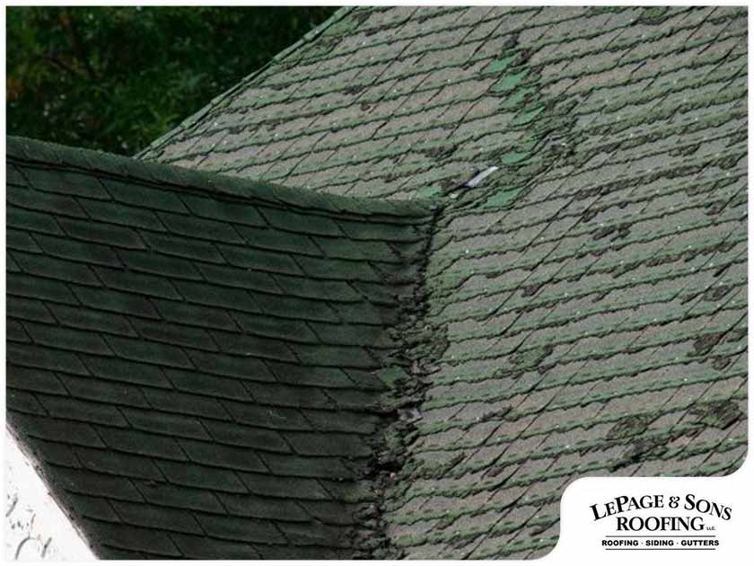 4 Signs You Need a New Roof