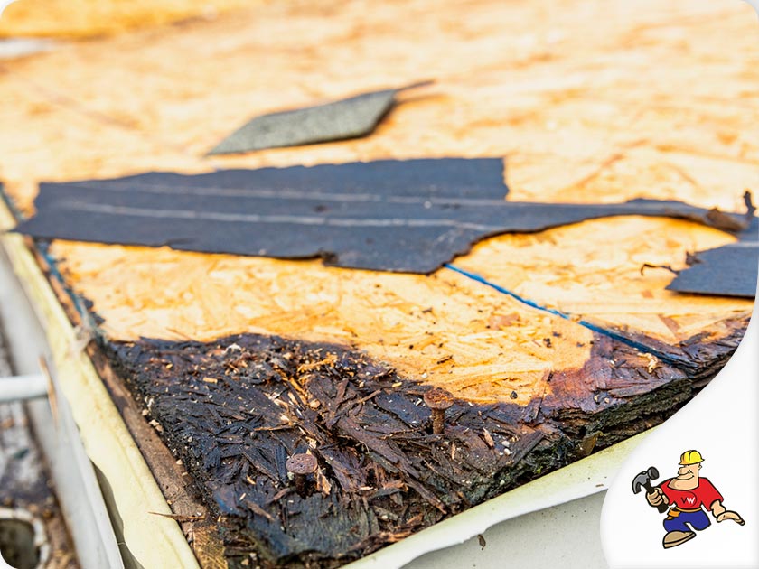 New Roofing Cost