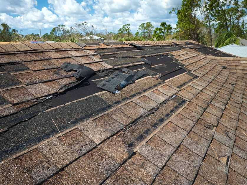 How Your Roof's Condition Affects Your Home Insurance Premiums