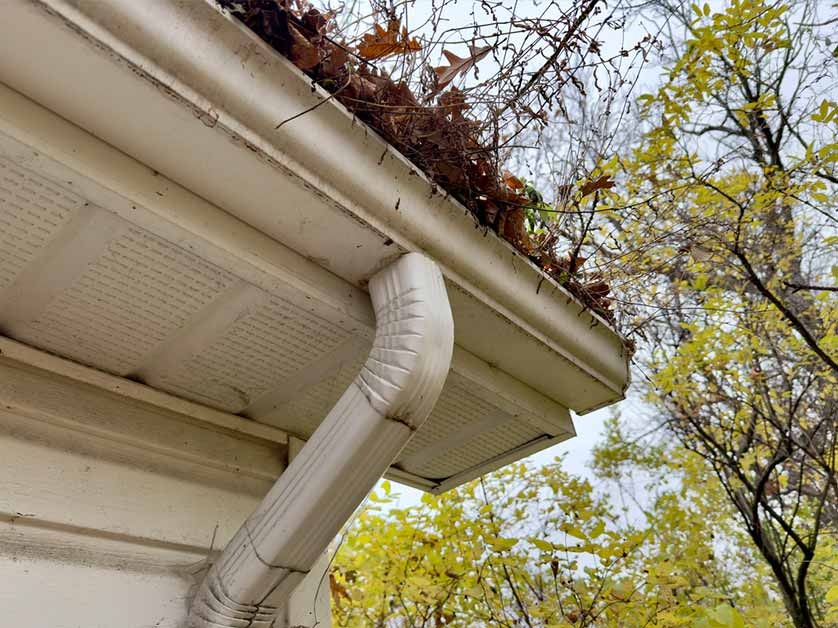 The Danger of Clogged Gutters: How Water Backups Destroy Your Roof