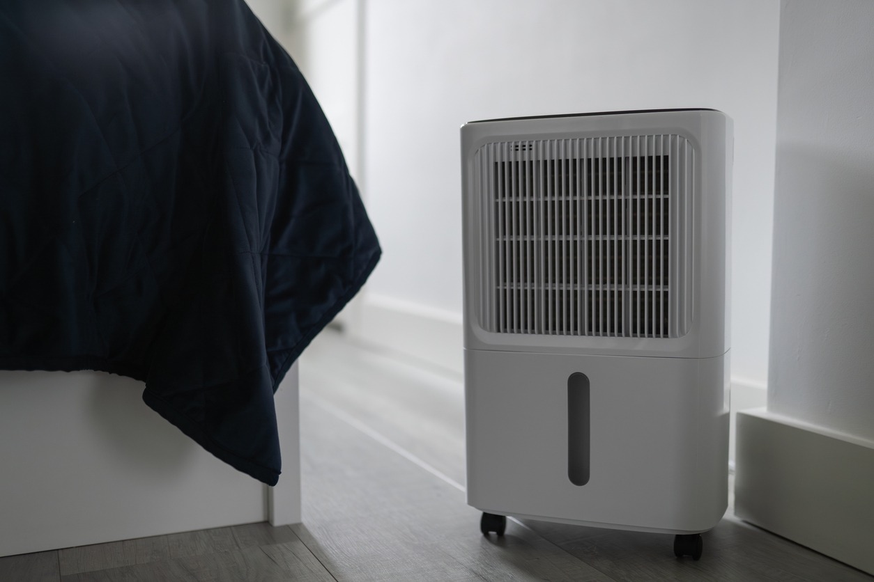 6f2e34572498132e32e569d1c179d1826e28f4a4 1765796004769