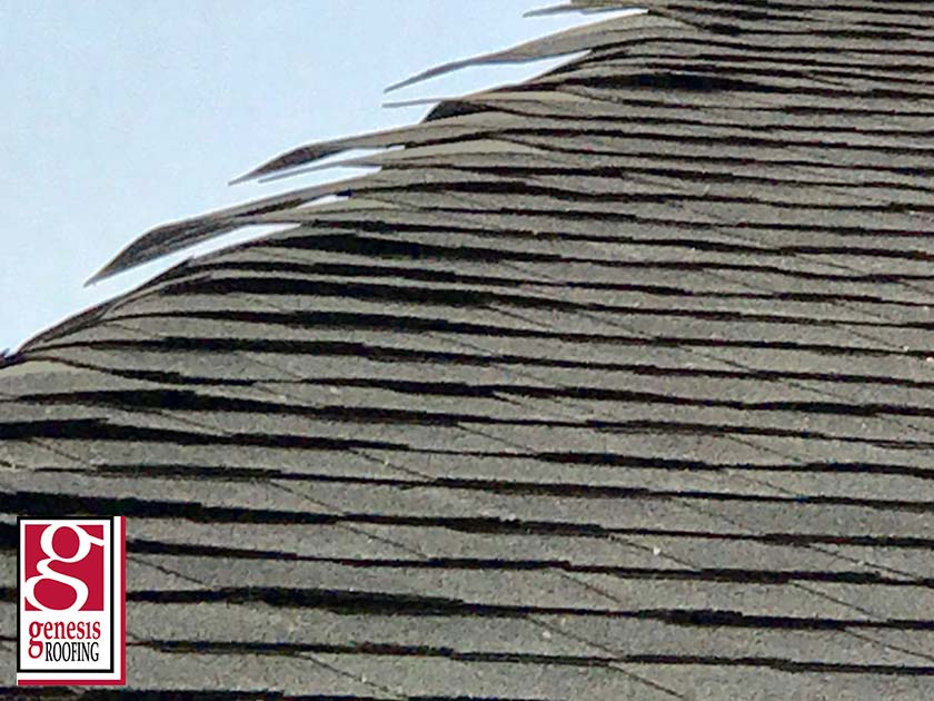 A Guide on How Susceptible an Asphalt Roof Is to Wind Damage