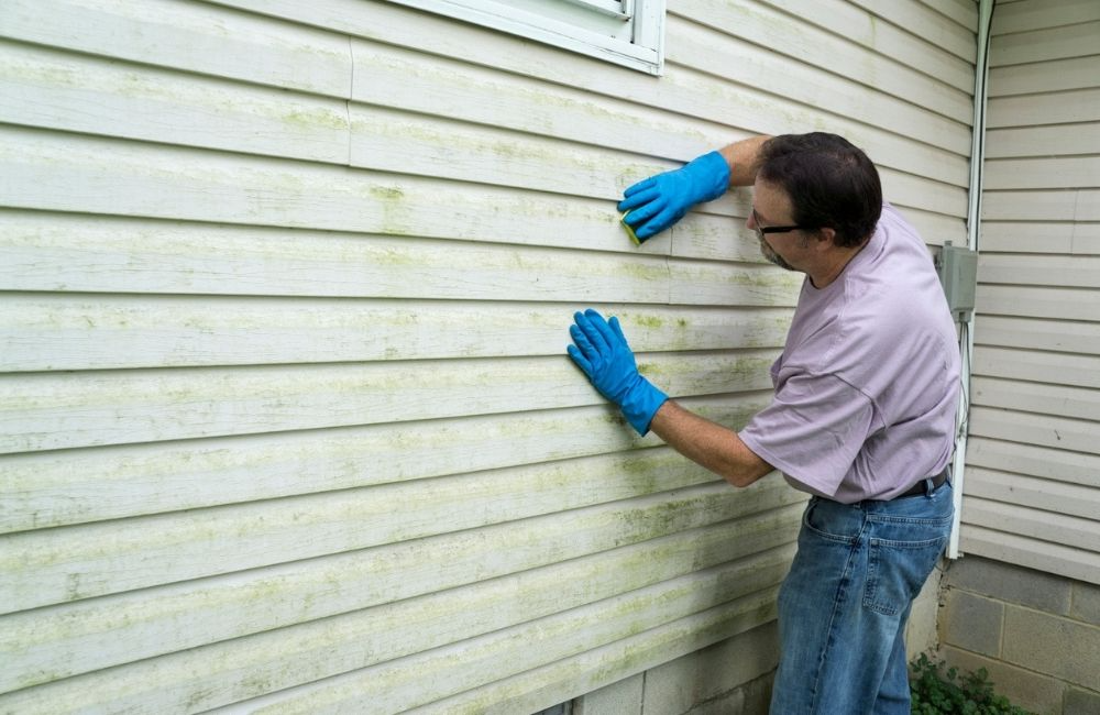 Siding Damage