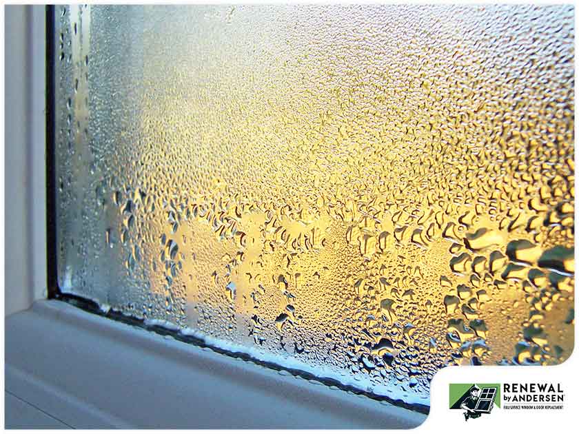 Window Seal Failure