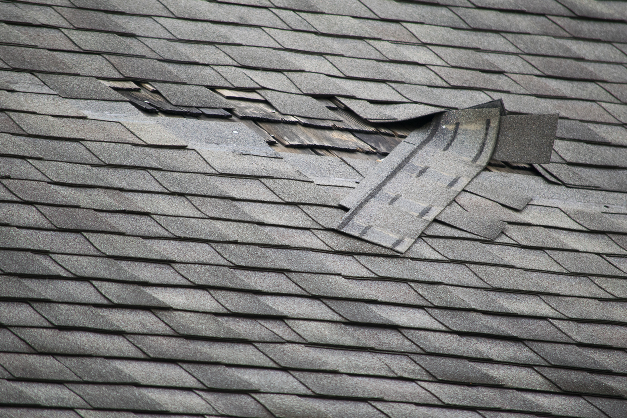 A Basic Roof Health Checklist