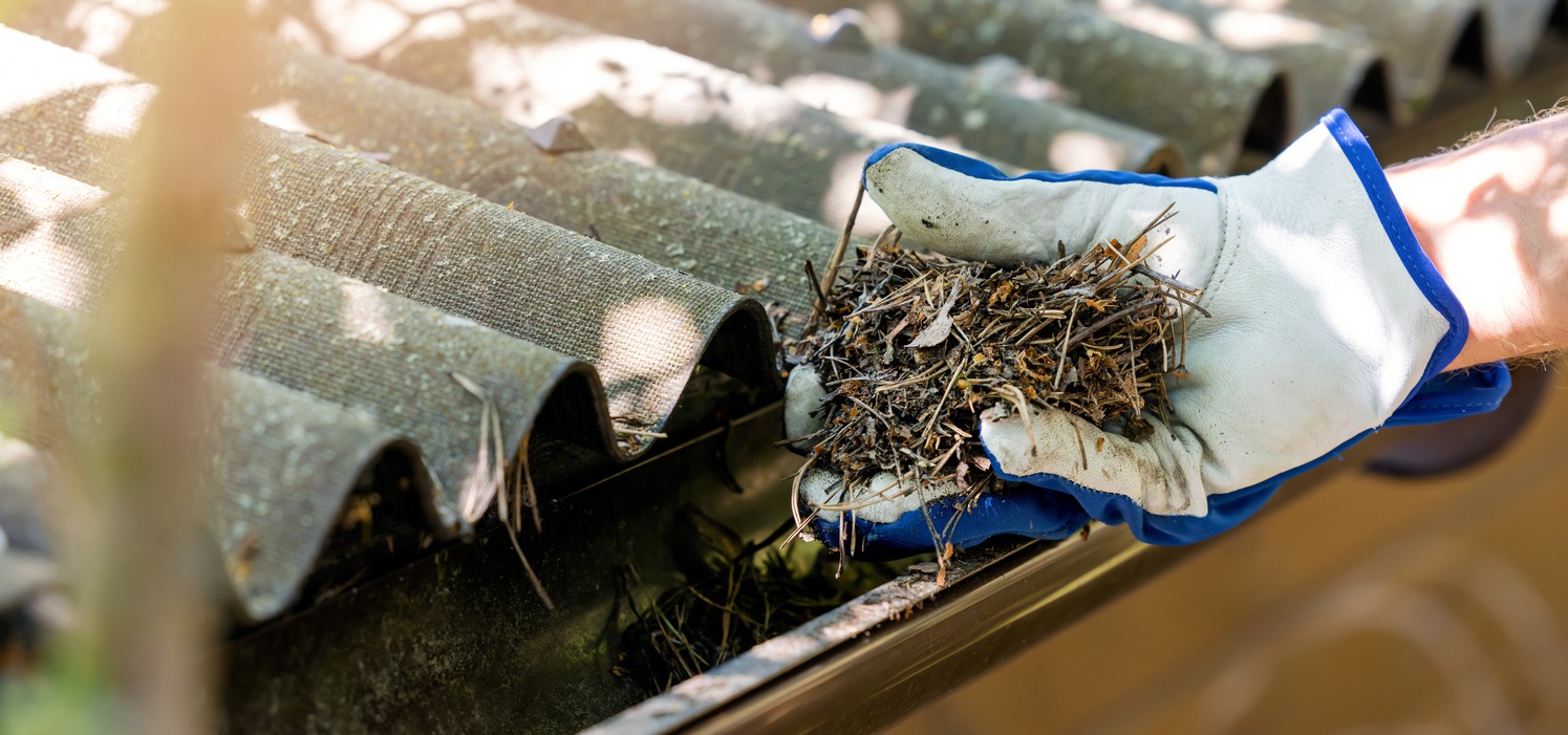 Why Winter Grit and Debris Make Spring Gutter Cleaning Mandatory