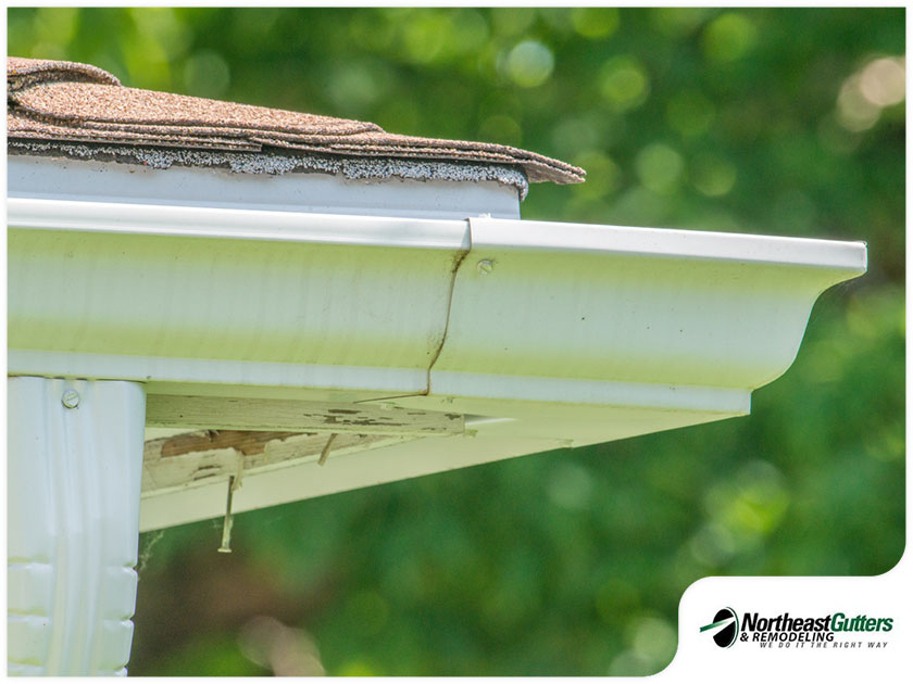 Gutters Need Replacement