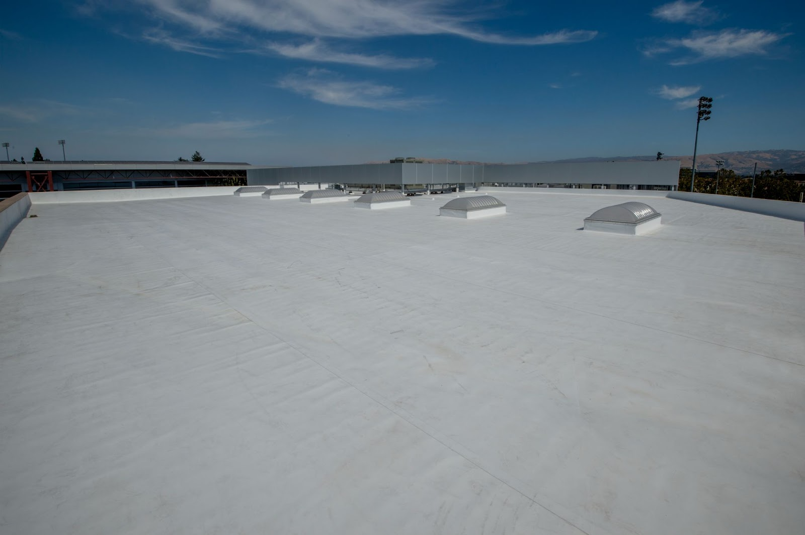 Commercial Roof