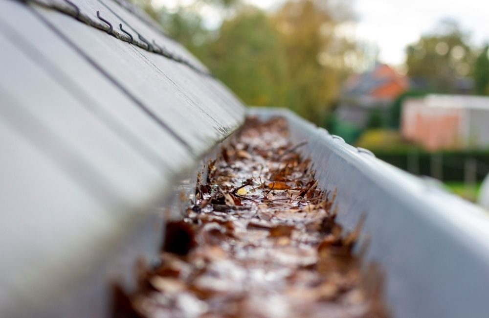 Why Are My Clean Gutters Still Overflowing?