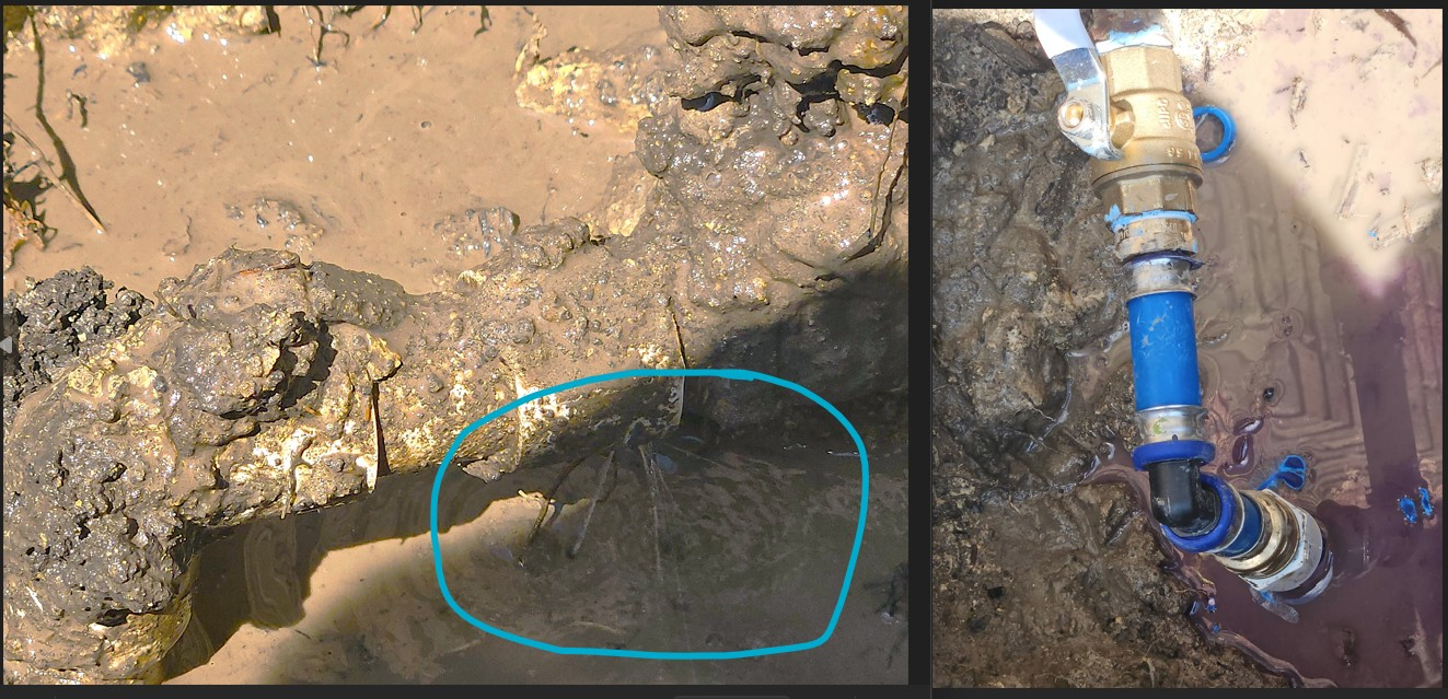 9998c9cfbd0a27538d4909ea752fd709917bc1e1-1765810978246 9998c9cfbd0a27538d4909ea752fd709917bc1e1 1765810978246