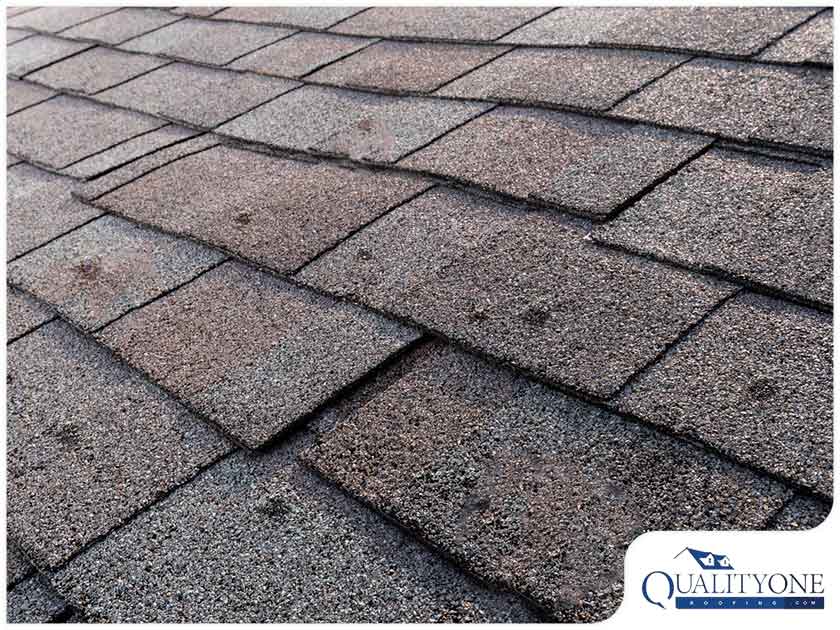 Blistering Asphalt Shingles