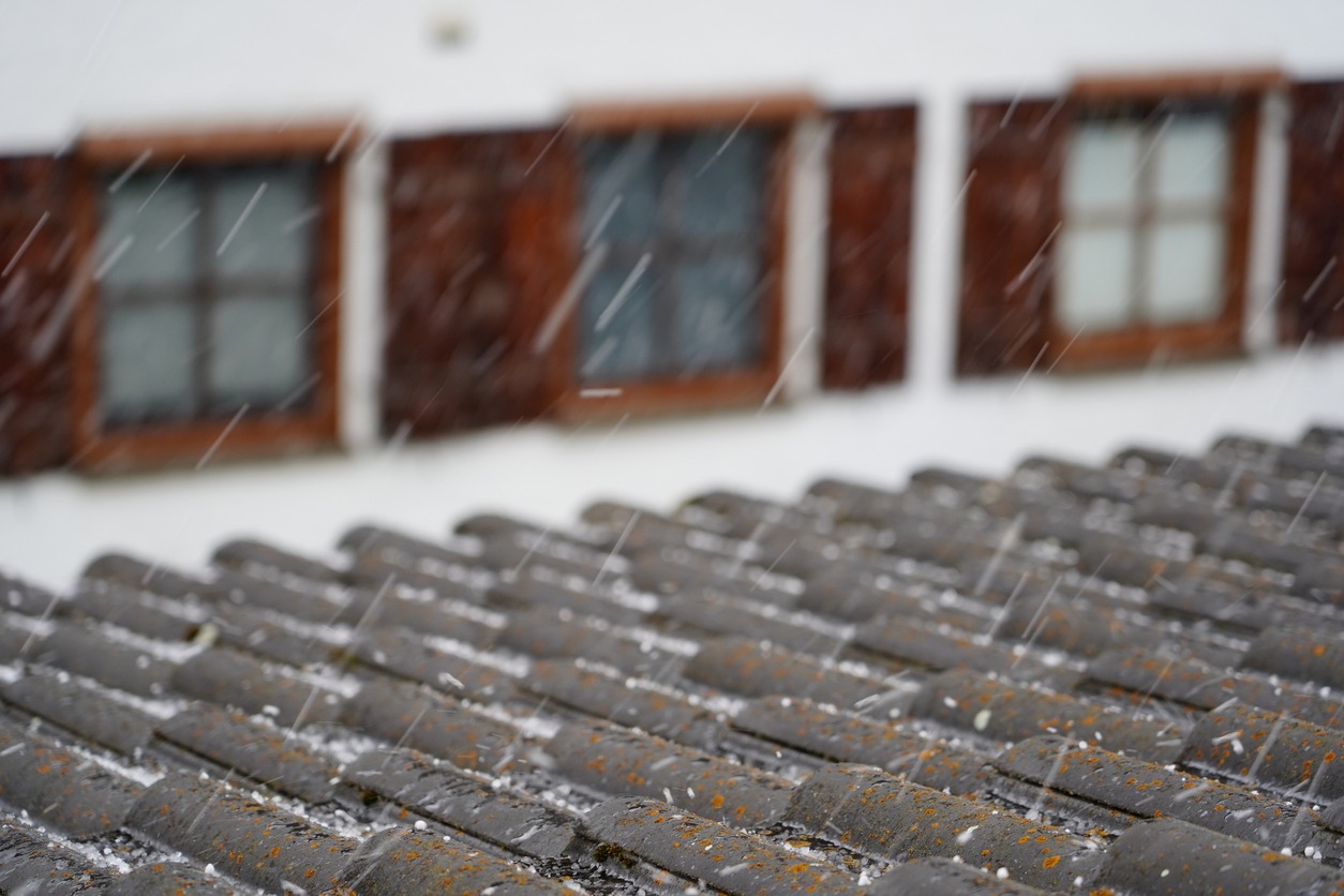 A9786ff99f3cb4c41bf883b4c4ceeaeee3515cd5 1767014420422