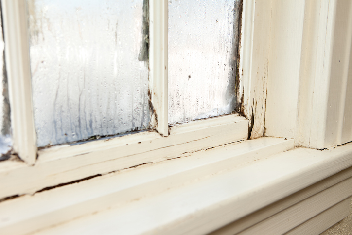 5 Things That Lead to Drafty Windows