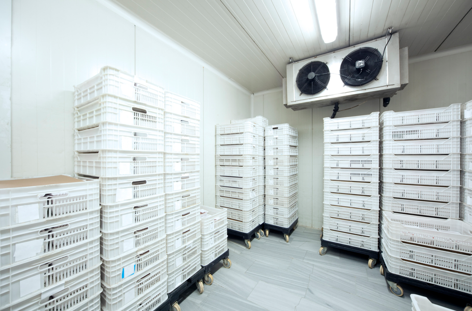 How to Prevent Ice Buildup in Commercial Freezers