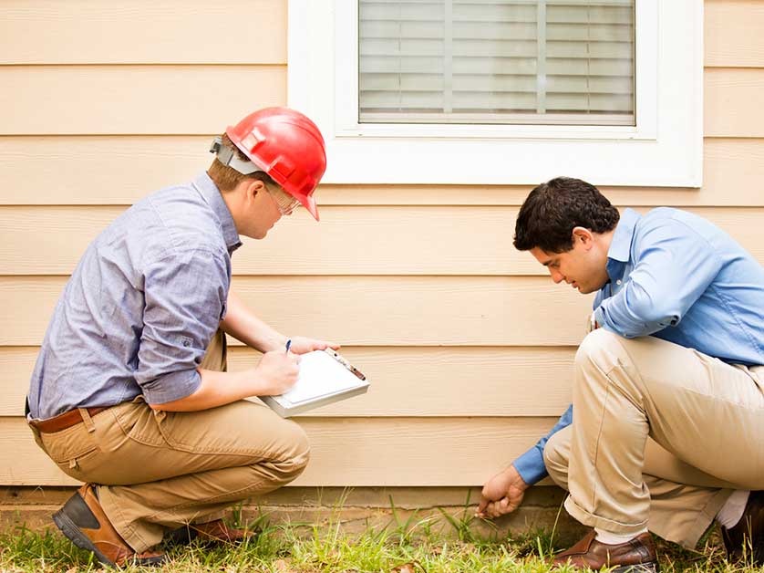 Keep Pests Away From Your Siding