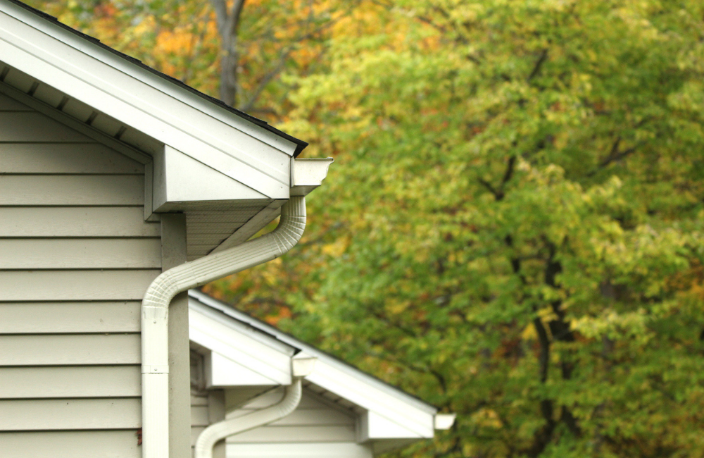 How Trees Can Damage Your Roof