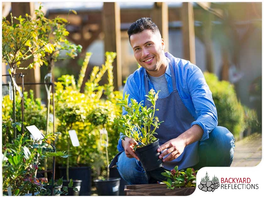 C3b09476d95bb3d7ce3a0344a44fb1e9e7a27bd9-1765281298710 C3b09476d95bb3d7ce3a0344a44fb1e9e7a27bd9 1765281298710