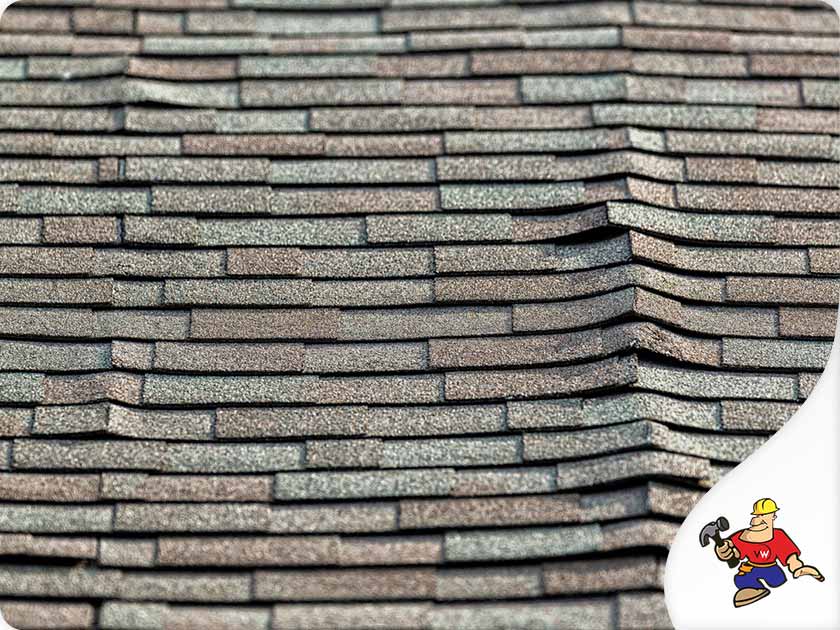 Shingle Roof