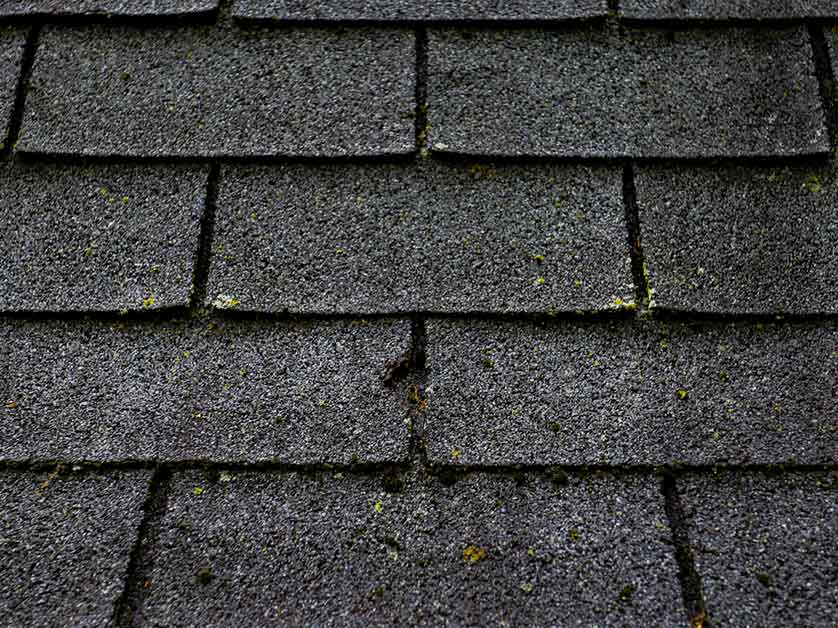 Your Guide to Dry Roof Rot