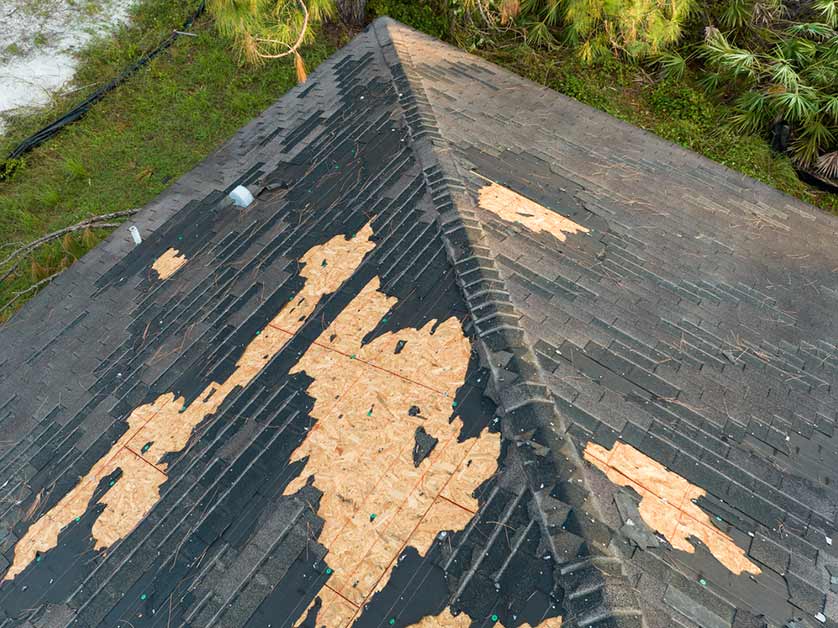 Wind Damage on Asphalt Shingles