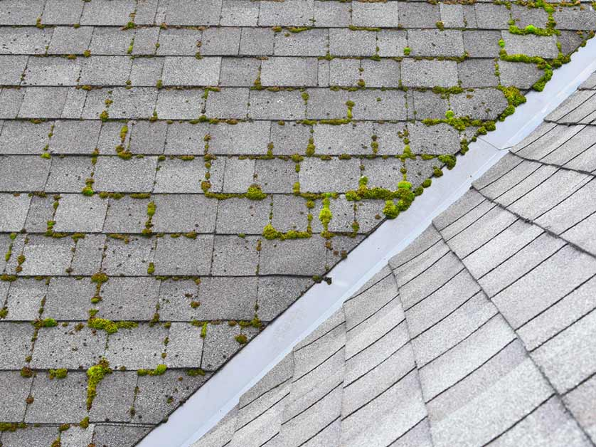 How Humidity Can Affect Your Roof