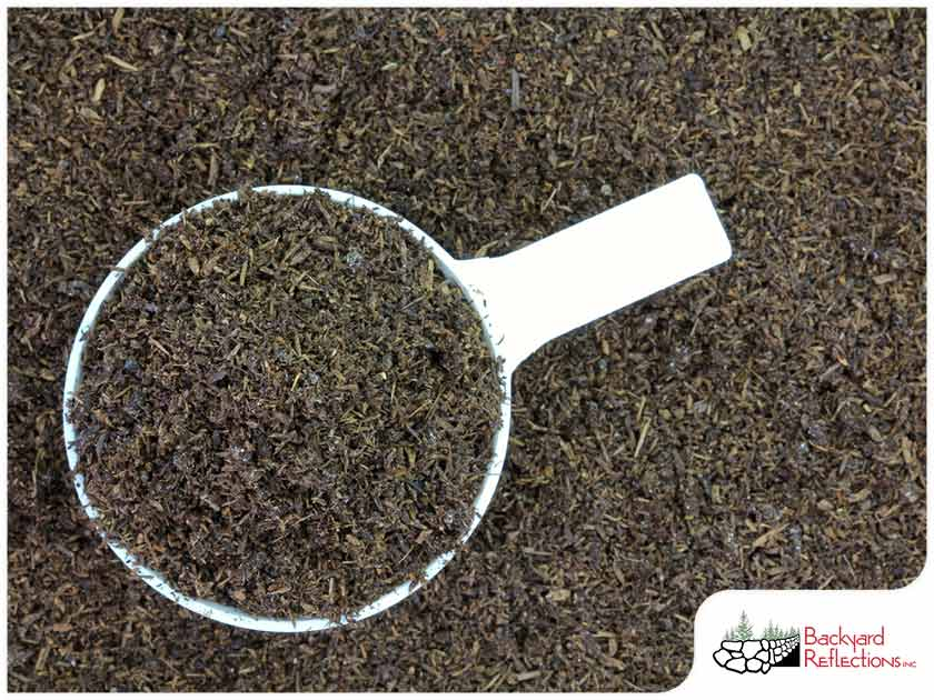 Dde4766255c5b7f27b7dc2a6fb0d036c6b251f73 1765284292654